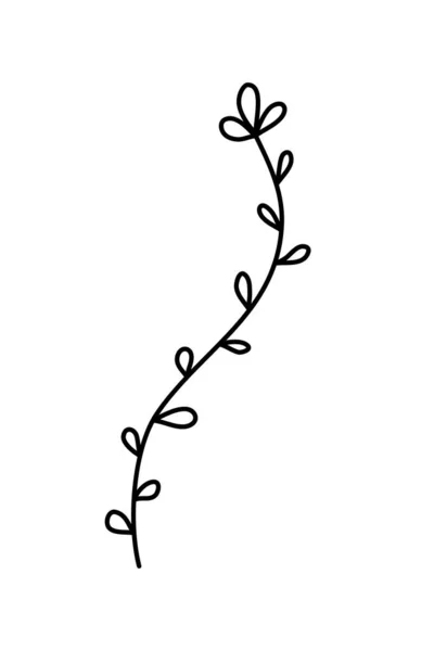 Wektor Prosty Ręcznie Rysowane Kwiaty Botaniczne Ilustracji Linia Graficzna Minimalny — Wektor stockowy