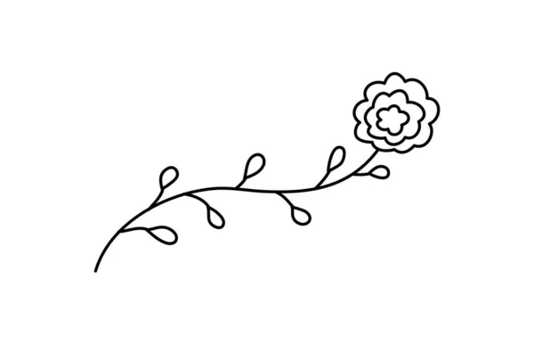 Vector Simple Hand Drawn Flower Botanical Illustration Line Artwork Minimal — Stockový vektor