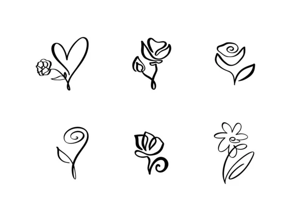 Set Continuous Line Art Drawing Vector Calligraphic Flower Logo Black — Vettoriale Stock