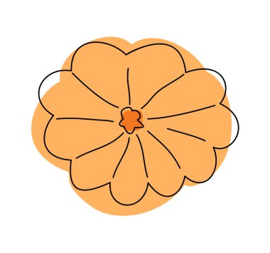 Şükran Günü için renkli vektör sonbahar karalama balkabağı. Sebze Hasadı Tatili 31 Ekim 'de. El çizimi basit resimleme üst görünümü.