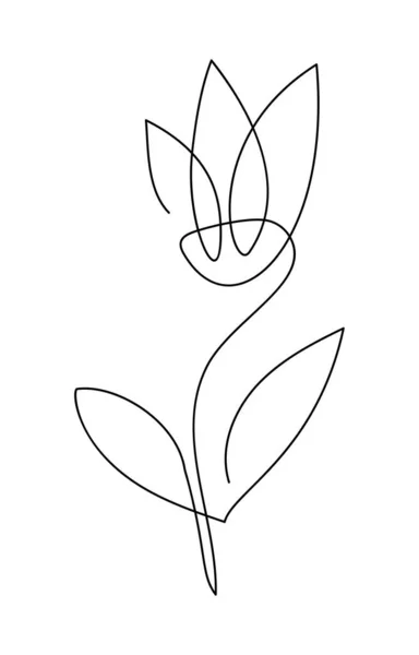 Vettore Tulipano Fiore Una Linea Arte Logo Contorno Minimalista Disegno — Vettoriale Stock
