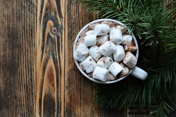 Tasse Heiße Schokolade Oder Kakao Mit Marshmallows Gemütliche Winterferien Und — Stockfoto