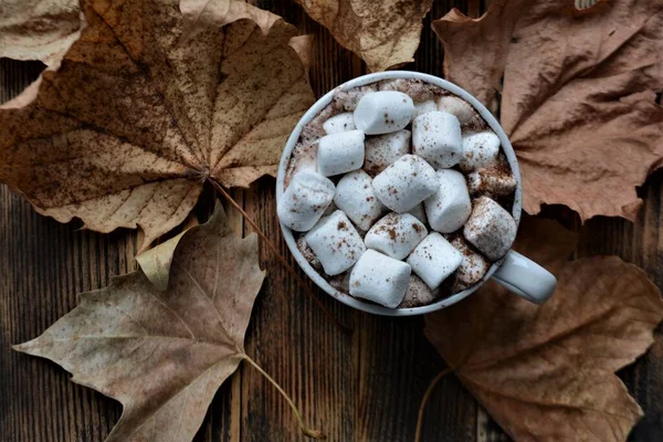 Tasse Heiße Schokolade Oder Kakao Mit Marshmallows Gemütliche Herbst Oder — Stockfoto