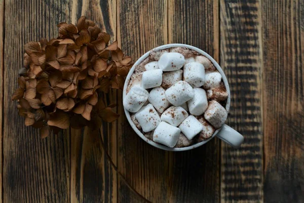 Xícara Chocolate Quente Cacau Com Marshmallows Férias Aconchegantes Outono Inverno — Fotografia de Stock