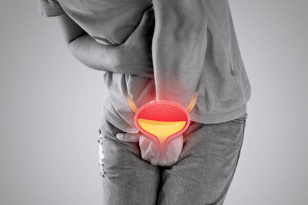 Urethra illustration on the men body against a gray background.