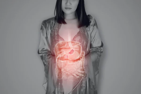 Organların Çizimi Kadının Vücudunda Gri Arka Planda Saten Gecelikli Uzun — Stok fotoğraf