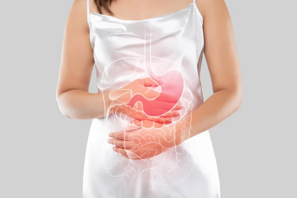 内臓のイラストがグレーの背景に女体に乗っています 腸炎に苦しむ胃に触れる人々 — ストック写真