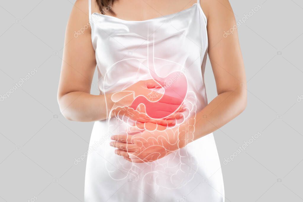 Illustration of internal organs is on the woman body against the gray background. People touching stomach painful suffering from enteritis