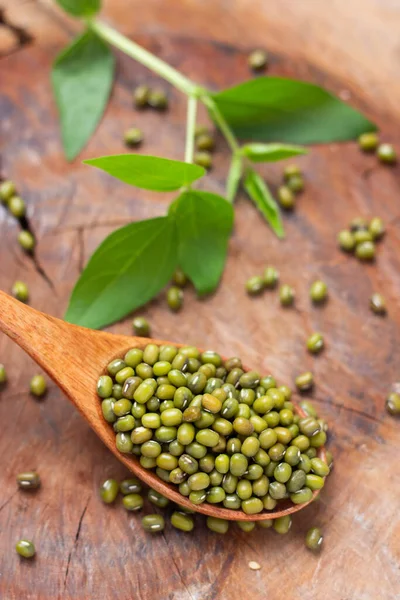 Frijoles Mungo Frescos Con Una Cuchara Madera — Foto de Stock