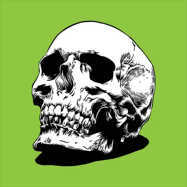 Calavera Dibujo Blanco Negro — Vector de stock