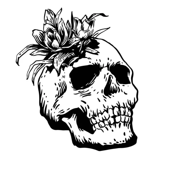 Skull Flower — Vetor de Stock