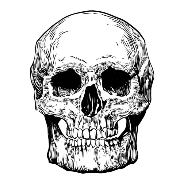 Crâne Noir Blanc Illustration De Stock