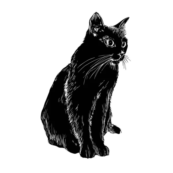 Black Cute Cat — Vector de stock