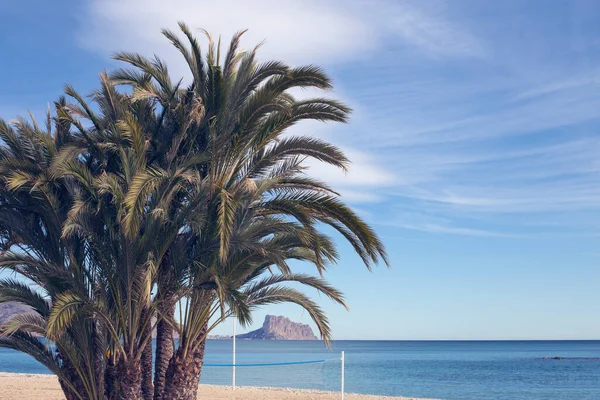 Palme sulla spiaggia sullo sfondo del mare e della catena montuosa, cielo azzurro con splendide nuvole al sole. Moraira, Spagna — Foto Stock