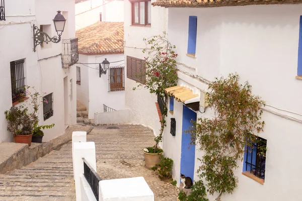 Bella strada stretta nel centro storico di Altea con case bianche e decorazioni blu e una strada asfaltata con vasi di fiori, Spagna — Foto Stock