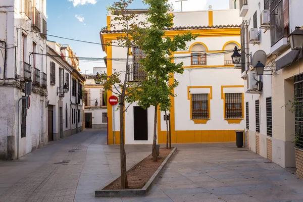 Córdoba, Andalucía, España - 3 de noviembre de 2021: Casas encaladas en una calle del casco antiguo de España —  Fotos de Stock