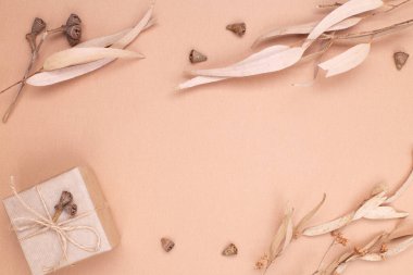 Bir çerçeve şeklinde sonbahar kompozisyonu üst görünümü. Kraft kağıdına sarılı bir hediye ve bej arka planda sonbahar okaliptüs yaprakları. Düz yat, boşluğu kopyala.