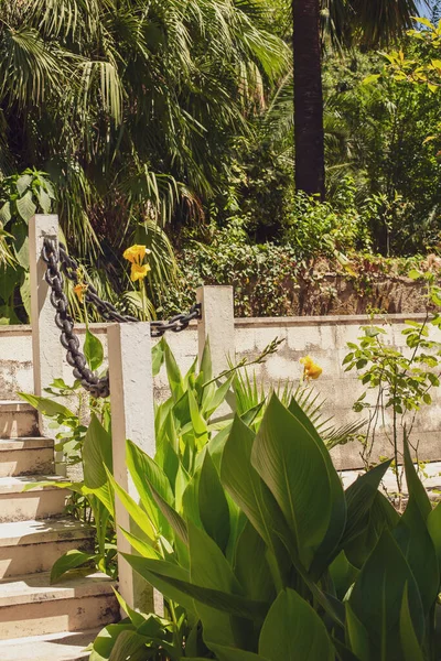 야자 밭으로 인도하는 계단들, 사슬 모양의 누각 과아름다운 열 대 식물 이 있는 계단들. — 스톡 사진