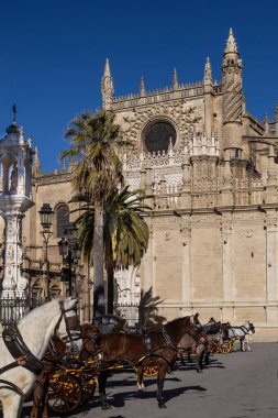 Bir at arabası arka planda Alcazar ve Endülüs, İspanya Sevilla Katedrali ile yakın çekim