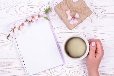 Düşünceler, planlar için boş bir günlükle bahar havası, bir kadının elinde bir fincan kahve, el işi kağıdına sarılmış bir hediye, beyaz ahşap bir masada çiçek açan badem dalıyla. Düz yat, boşluğu kopyala.