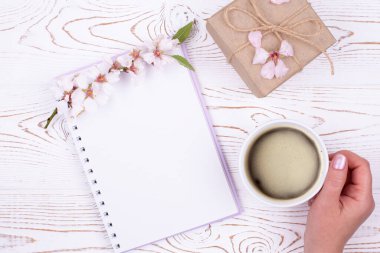 Düşünceler, planlar için boş bir günlükle bahar havası, bir kadının elinde bir fincan kahve, el işi kağıdına sarılmış bir hediye, beyaz ahşap bir masada çiçek açan badem dalıyla. Düz yat, boşluğu kopyala