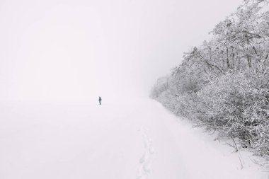 Kar ovasında siluet. Kış karlı doğa. Yürüyen kış ayak izleri 