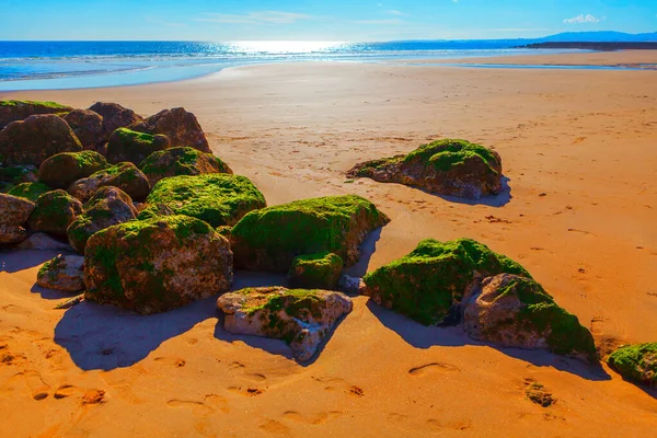Costa Oceano Índico Com Rochas Costa Grandes Pedras Costa Praia — Fotografia de Stock