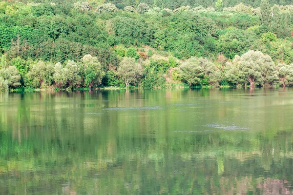 Пейзаж Зеленым Лесом Берегу Реки Пейзаж Природного Отражения Воде — стоковое фото