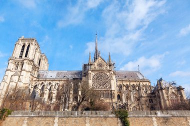 Notre Dame de Paris . Paris 'teki ortaçağ Katolik katedrali. Fransız Gotik mimarisi. Dış güney gül penceresi