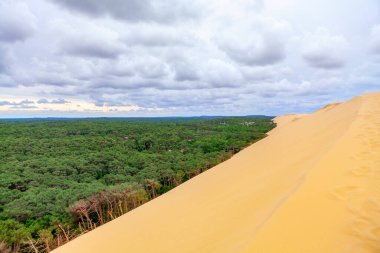 Atlantik Okyanusu kıyısındaki Dune du Pilat. Dune de Pyla Avrupa 'nın en yüksek kum tepesi. Büyük kum tepesi ve orman 