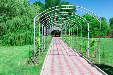 Patikalı park sokağı. Şehirdeki bahar parkında yürüyorum. Arka sokakta bahçe kemeri 