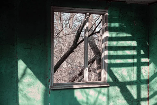 Interior Una Casa Desolada Pared Verde Del Granero Abandonado Sombra — Foto de Stock