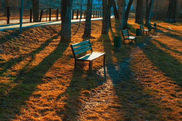 Bancos Parque Outono Assentos Vazios Parque Temporada Outono — Fotografia de Stock