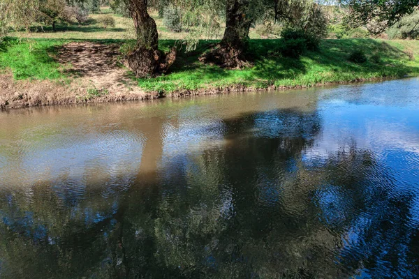 Tavasszal Fák Vannak Folyóparton Természet Tükröződik Vízben Idilli Folyóparti Táj — Stock Fotó