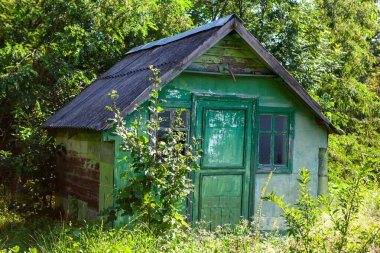 Barn in the forest . Wooden hut in the woodland . Rustic house colored in green 