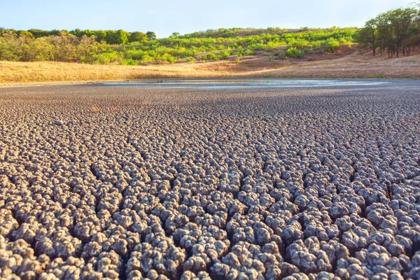 Drought Cracked Lake Bottom Climate Change Concept Dry Summer Scenery — Stockfoto