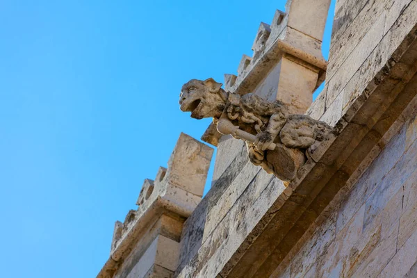 Gárgola Piedra Adorno Medieval Catedral — Foto de Stock