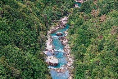 Yukarıdan hızlı su manzarası. Dağ nehri ve orman manzarası 