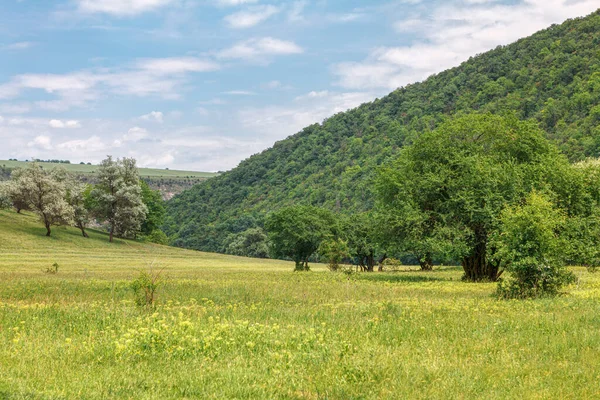 Tepeler Yeşil Çayırlar Muhteşem Bahar Manzarası — Stok fotoğraf