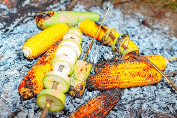 Pique Nique Avec Des Légumes Feu Camp Avec Manger Végétalien — Photo