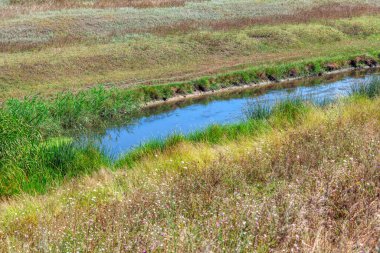 Akıntısı olan ıssız bir bölge. Akan dere doğası