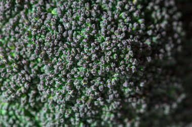 Brokoli dokusu. Sebze yüzey arkaplanı 