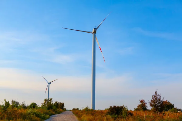 Molinos Viento Largo Camino Rural Turbinas Eólicas Campo — Foto de Stock