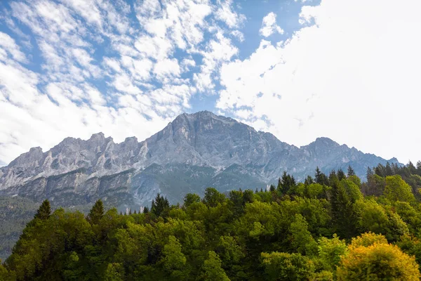 Árvores Montanhas Paisagem Alpina — Fotografia de Stock
