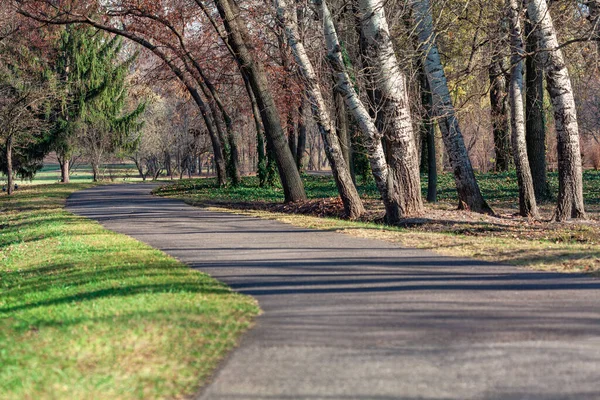 Passeio Parque Caminhando Natureza Primavera — Fotografia de Stock