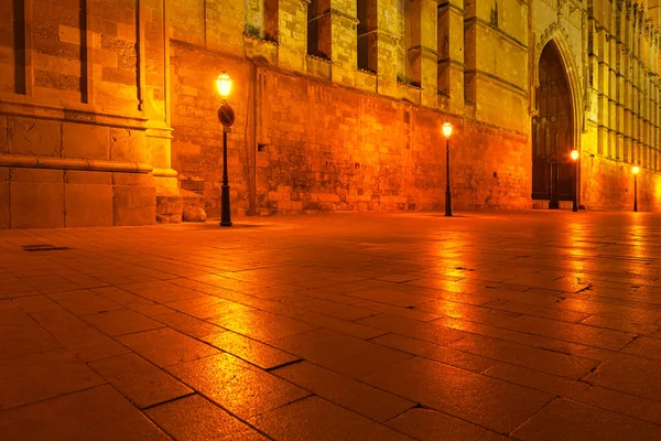 明亮的大教堂和古城的广场 夜晚的马洛尔卡大教堂有路灯的中世纪街道 — 图库照片