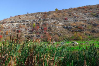 Ortak Sazlıklarla Doğa. Kayalık dağ ve kıyı doğası ile manzara