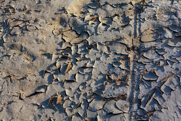 Praskliny Špinavém Povrchu Arid Pozemek Pozadí — Stock fotografie