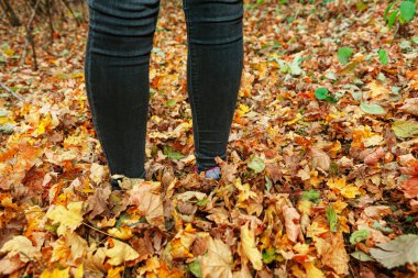 Sonbahar yapraklarında bacaklar. Sonbahar mevsiminde yürüyüş 