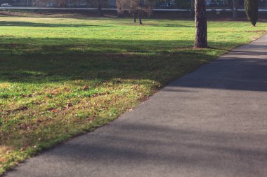 Lawn meadow and walking park in the park 